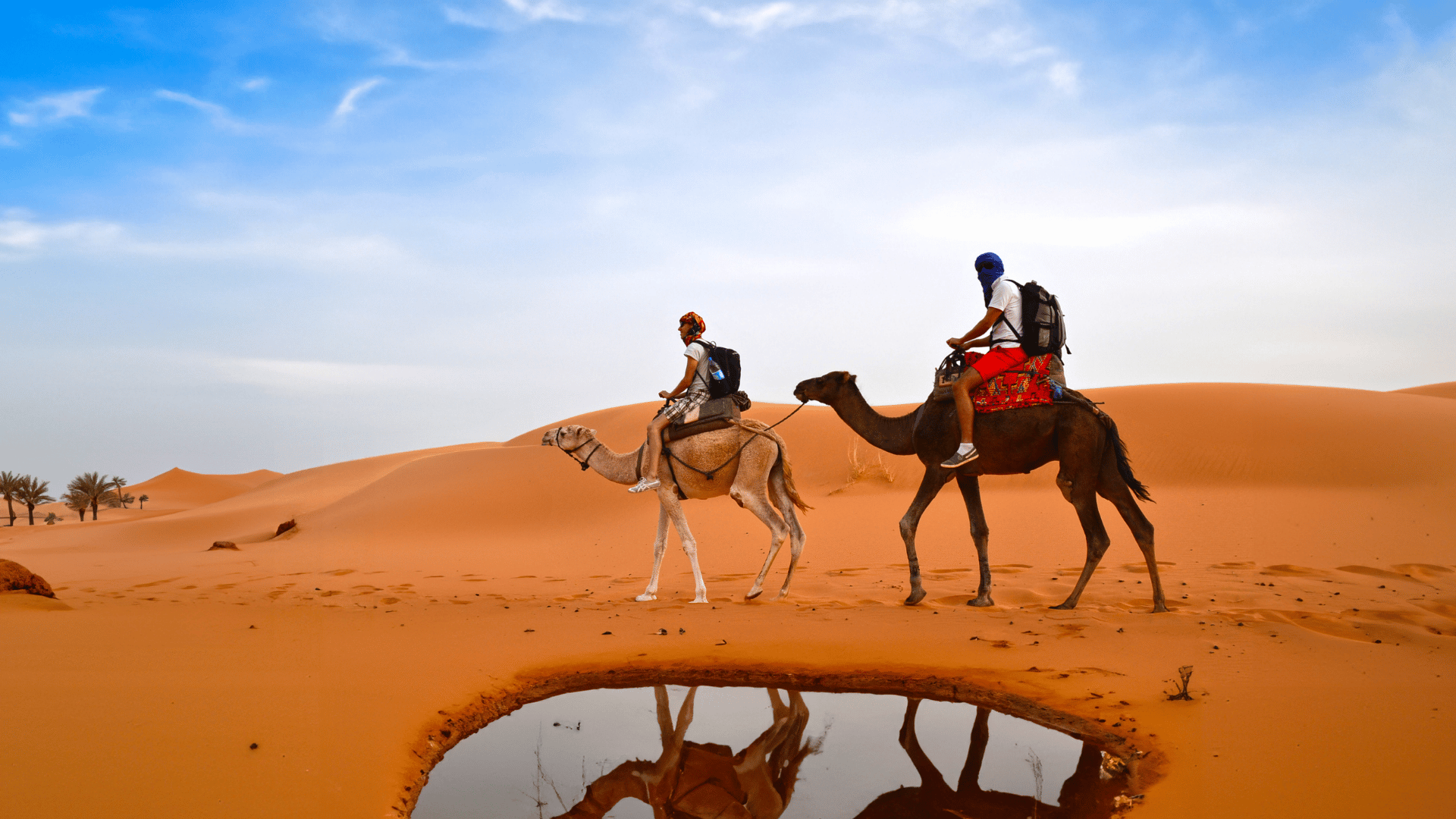 Unlock Your Dream Travel Experience with RHG Services Pvt. Ltd.!