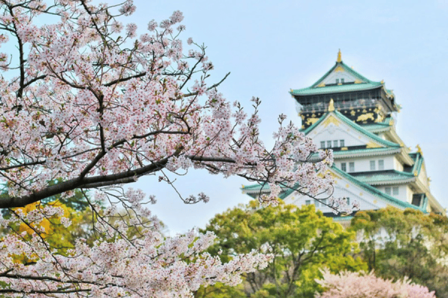 Japan Group Tour
