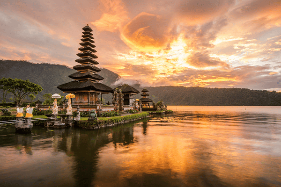 Bali Delight